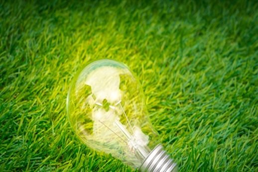 Green Consulting
